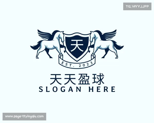 关于天天盈球